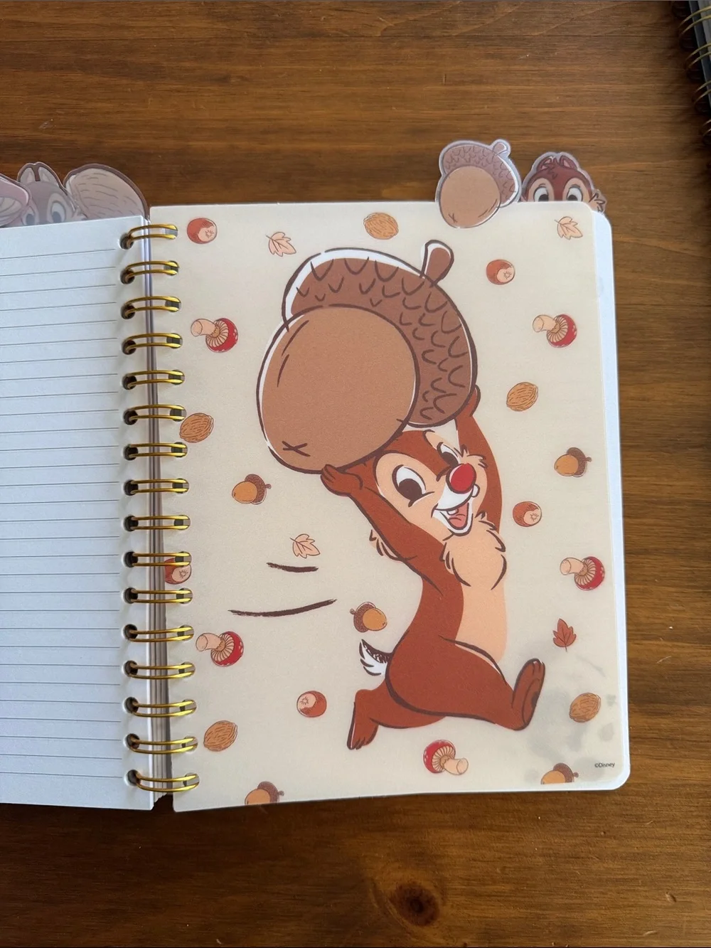 Disney Chip 'n' Dale Fall Leaf Spiral Notebook – Brown & Gold